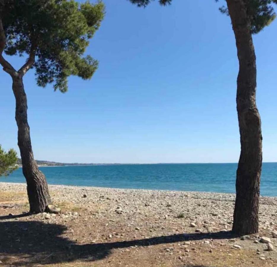 La Casa Al Mare Corallo Verde Montegiordano Exteriér fotografie